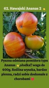 Nasiona Pomidorów Hawajski Ananas 2 
