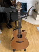 Gitara Takamine  EAN 20 C Japonia preamp lampa