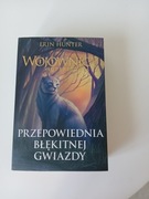 Przepowiednia błękitnej gwiazdy.