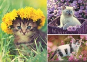 Puzzle Trefl 1000 Elem Koty W Ogrodzie 91701