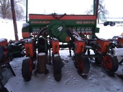 Siewni kukurydzy Amazone ED K 451