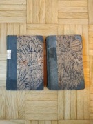 Morcinek Gustaw, Serce za tamą nowele i Byli dwaj bracia, książki