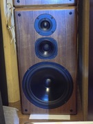 Kolumny T+A Stratos p30