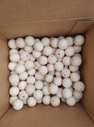 korale 30 mm 100 sztuk paczka 