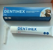 DENTIHEX 20 G Z APLIKATOREM pasta do zębów dla psów i kotów