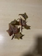 Zestaw 2x Sztuczne rosliny liscie girlanda galazka klon kompozycje