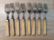 Stare Widelce. Kość. Biała masa.