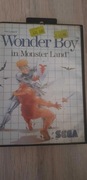Wonder Boy in Monster Land