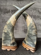 Rogi - para, orient, smoki. 36 cm.!.