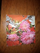 Pocztówka dźwiękowa Czerwone Gitary Seweryn Krajewski 1977 Winyl