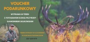 Voucher na wyprawę w teren z fotografem dzikiej przyrody