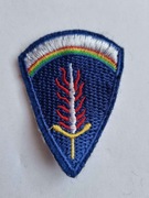Naszywka United States Army Europe usareur africa us army ww2 cold war