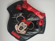 Kurteczka dla pieska