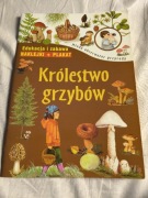 Młody obserwator przyrody – królestwo grzybów