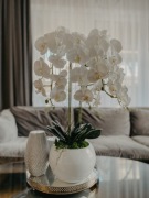 storczyk sztuczny kwiat ozdoba prezent doniczka