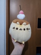 Maskotka pusheen dla dzieci 