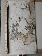 Tubądzin Monolith Patagonia Naturale Sat Str 60x120 2 sztuki 1,43m2