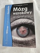 Mózg wzrokowy w działaniu - Milner, Goodale