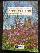 DEEP LEARNING Systemy uczące się, Goodfellow Bengio Courville, PWN 2018, AI