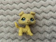 Lps Littlest Pet Shop collie #1194