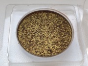 cień „Orzechowiec” Glam Shop, GlamShop