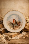 Royal Albert the Woodland Bird Collection Robin talerz kolekcjonerski  