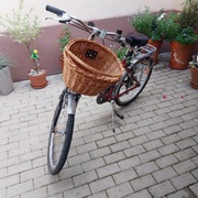 Rower Damka koła 16 cal