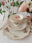 TRIO filiżanka Rosenthal Pompadour ecru 