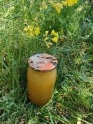 Miód wielokwiatowy naturalny 