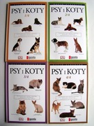 PSY i KOTY 1-4 - Kilkaset ras psów i kotów. Budowa zwierząt. 
