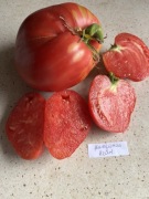 Pomidor Hungarian Heart nasiona kolekcjonerskie