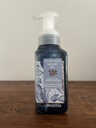 Lakeside Life - nowe mydło do rąk w piance 259 ml Bath & Body Works