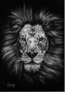 Rysunek pastelami - lew