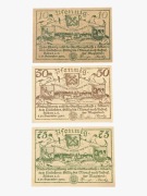 Notgeldy Rybno, Roben 1920 rok UNC