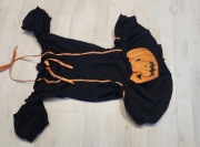 S M strój wampirka dynia dyni czarownica halloween nr 1291