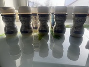 Bebilon 1 pro futura 70 ml