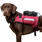 Nowe plecako-szelki dla psa