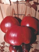 050-Chornoye serdtse' ot Borisovny. Pomidory kolekcjonerskie.