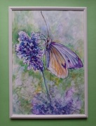 Obrazek z motylem na kwiatku - akwarela i akryl - format A4. 