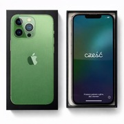 iPhone 13 Pro 256 GB – Zielony (Alpine Green) – igła! Oryginalny Komplet