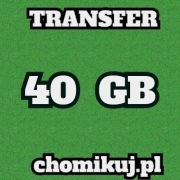 TRANSFER CHOMIKUJ 40 GB BEZTERMINOWO