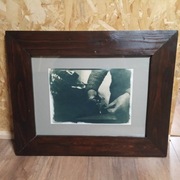  Krawcowa - cyjanotypia tonowana w korze dębu