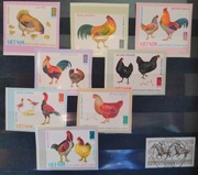 Fauna zwierzęta ptaki kury Viet-Nam cięte