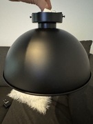 Lampa sufitowa z kloszem, 60 W, 220 - 240 V.