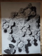 Fotografia PRL sztuka ludowa kobiety moda strój vintage zdjęcia komplet 