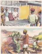 Kongo Belgijskie - Historia i Rozwój" - 1953 r.