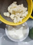 Grzybek tybetanski - dwie czubate łyżeczki