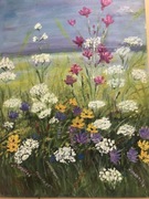 Polne kwiaty na łące