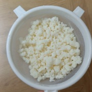 Grzybek tybetański (kefirowy)