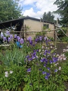 Sprzedam Działkę ROD nr 337 - 4,95 ARA powierzchni